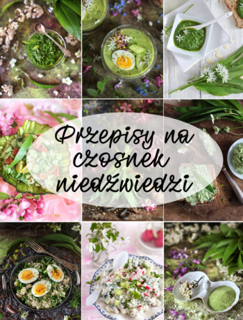 Czosnek niedźwiedzi przepisy