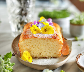 Skyrnik kokosowy - lekkie ciasto ze skyru i kokosa. Prosty, wysokobiałkowy fit deser, idealny na szybkie i zdrowe desery.